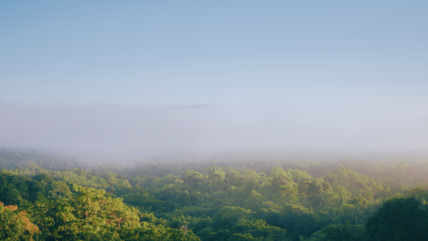 「休むだけ」でも「詰め込みすぎ」でもない！