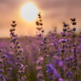 休職中の過ごし方【心と体を充電するためのガイド】