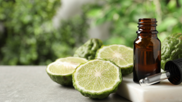 労働者の疲労回復法：現代の働き方に必要な視点と具体的アプローチ