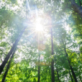 自分らしいキャリアと企業利益との狭間で揺れる――“キャリア危機”への産業医の処方箋