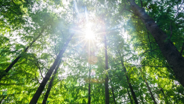 自分らしいキャリアと企業利益との狭間で揺れる――“キャリア危機”への産業医の処方箋